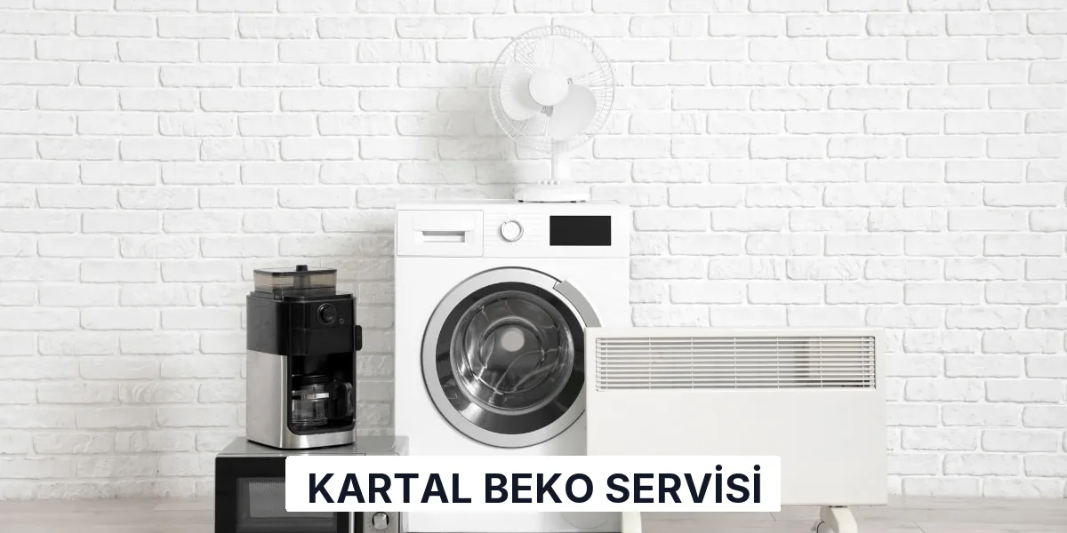 Kartal Beko Servisi