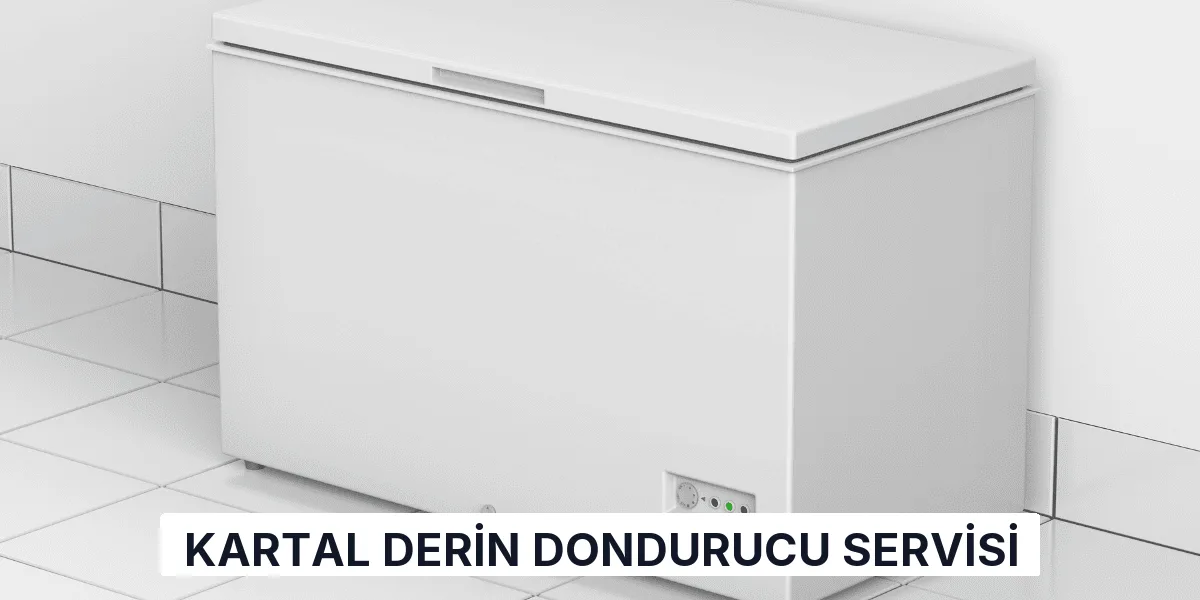 Kartal Derin Dondurucu Servisi