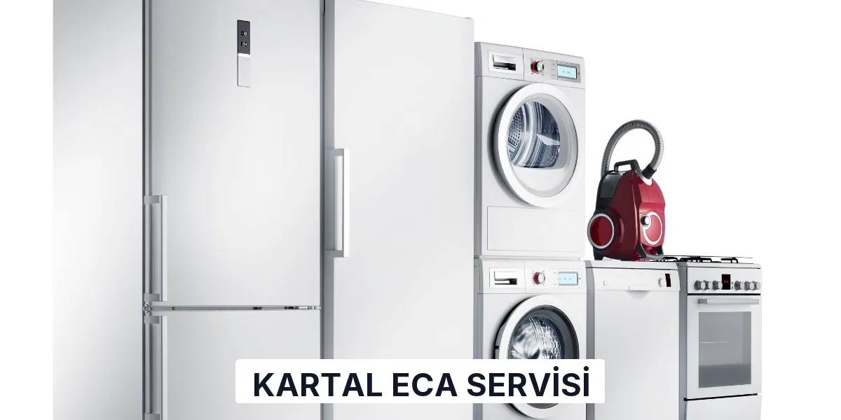 Kartal ECA Servisi
