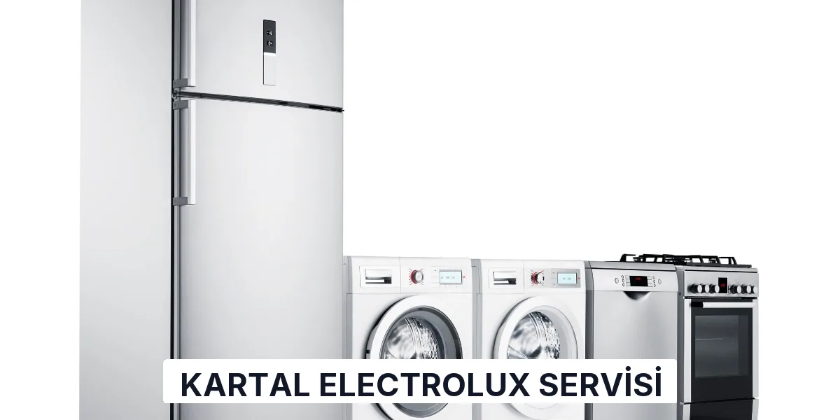 Kartal Electrolux Servisi