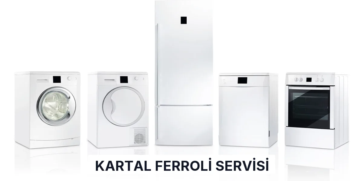 Kartal Ferroli Servisi