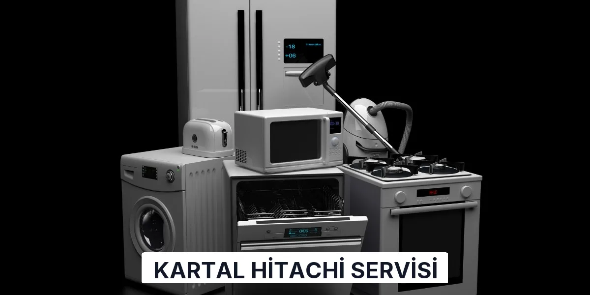 Kartal Hitachi Servisi