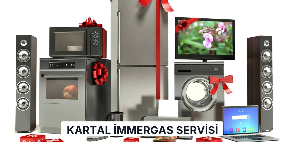 Kartal İmmergas Servisi