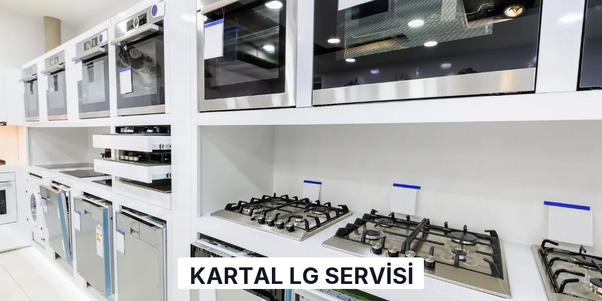 Kartal LG Servisi