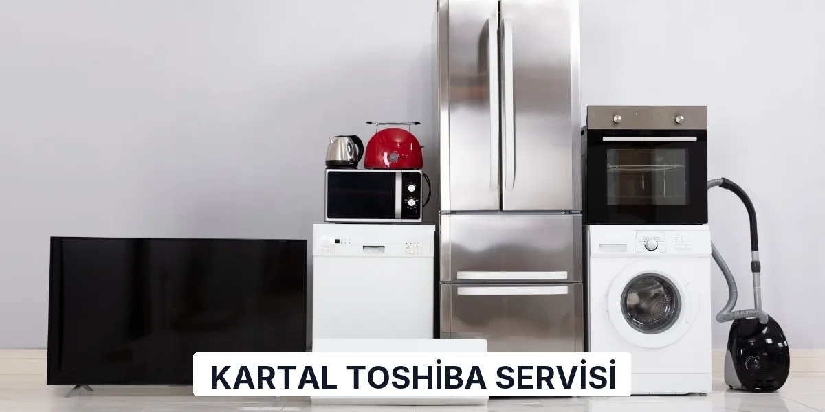 Kartal Toshiba Servisi