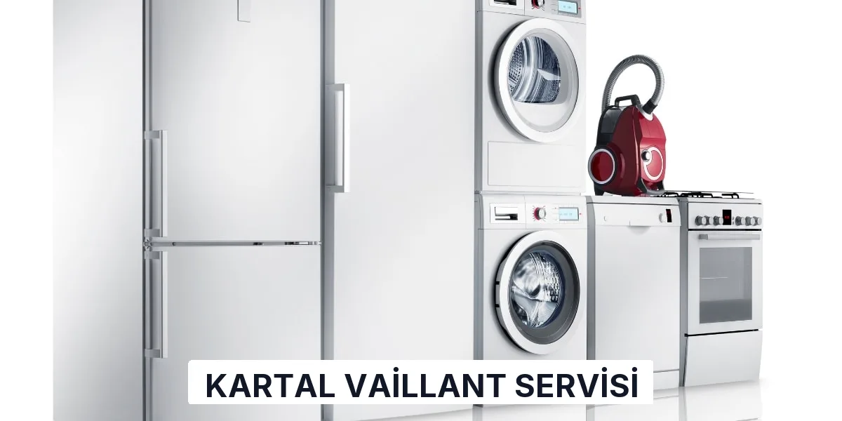 Kartal Vaillant Servisi