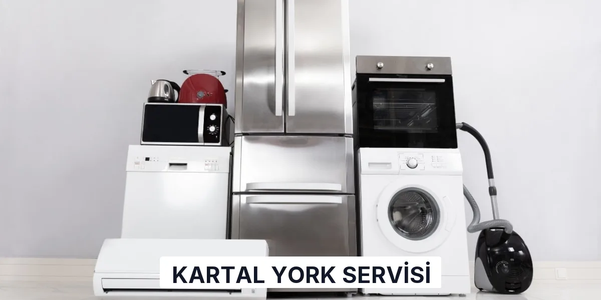 Kartal York Servisi